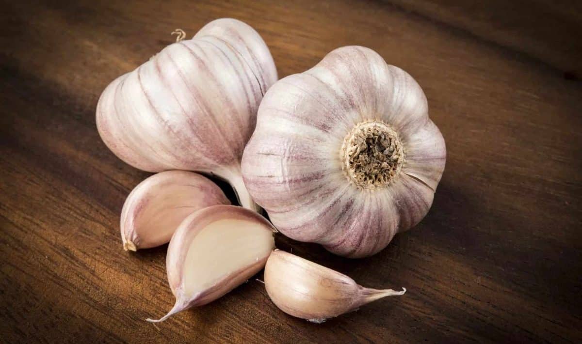 Role česneku a peroxidu vodíku v péči o rostliny: k čemu slouží a v čem pomáhají.