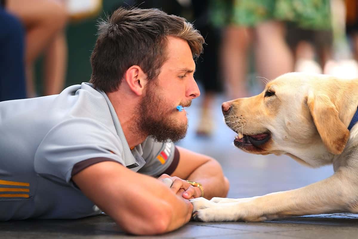 Co znamená z psychologického hlediska mluvit s domácími zvířaty jako s lidmi?