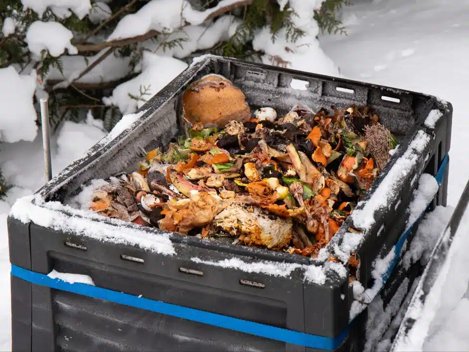 Stačí ho přidat do kompostu v zimě a na jaře budete mít kvalitnější hnojivo než obvykle.