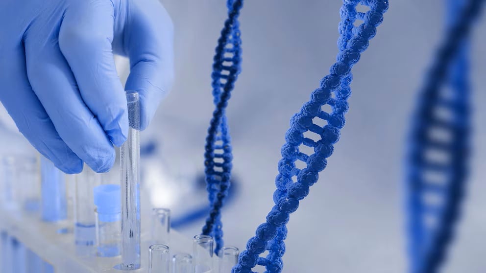 Záhada dlouhověkosti: co nás mohou naučit zvířata, která nejlépe odolávají plynutí času.