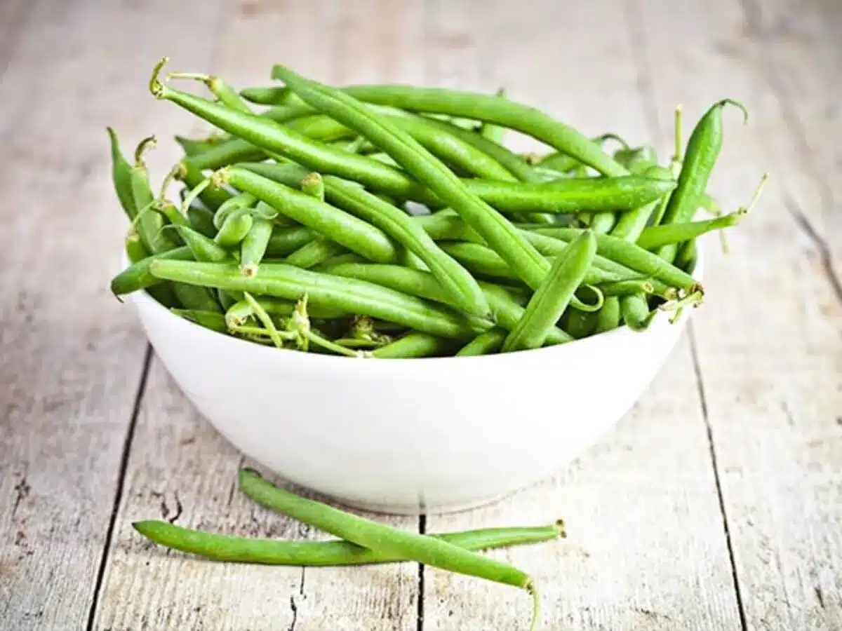 Málo známé užitečné vlastnosti zelených fazolí – důležití pomocníci pro těhotné ženy.