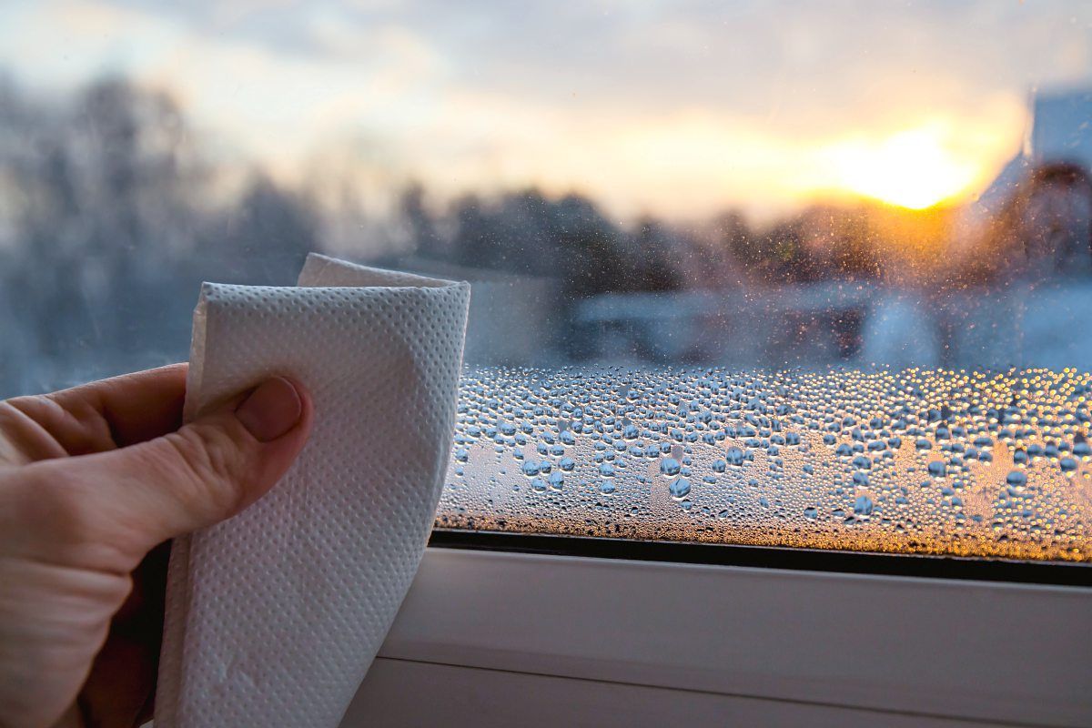 Uvnitř domu se na oknech rychle hromadí vlhkost. Je důležité si toho všimnout a zbavit se jí.