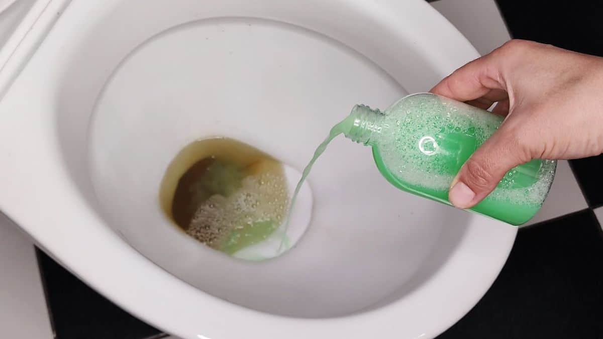 Proč je dobré večer posypat toaletu solí: tajemství dokonalé čistoty v koupelně.