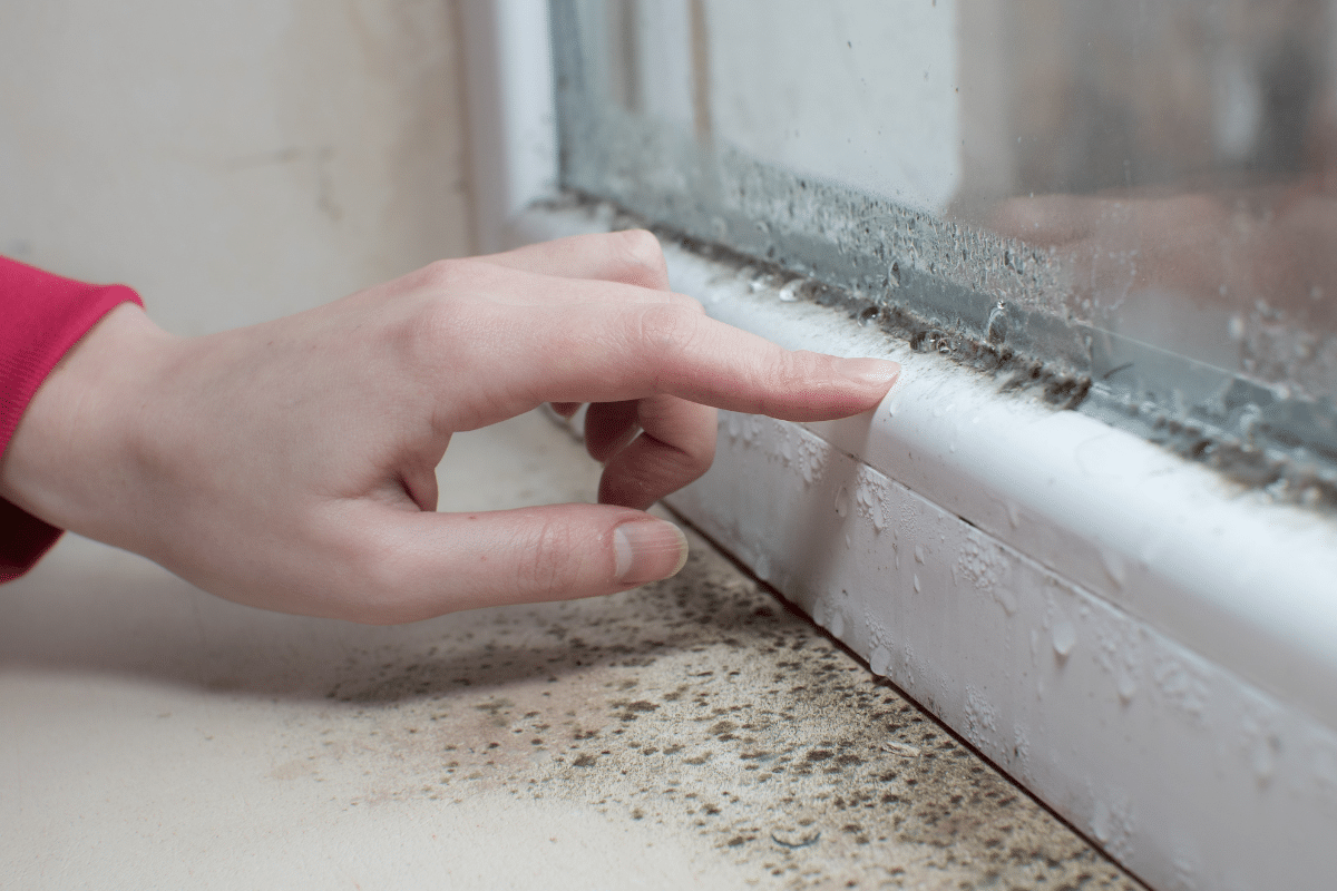 Uvnitř domu se na oknech rychle hromadí vlhkost. Je důležité si toho všimnout a zbavit se jí.